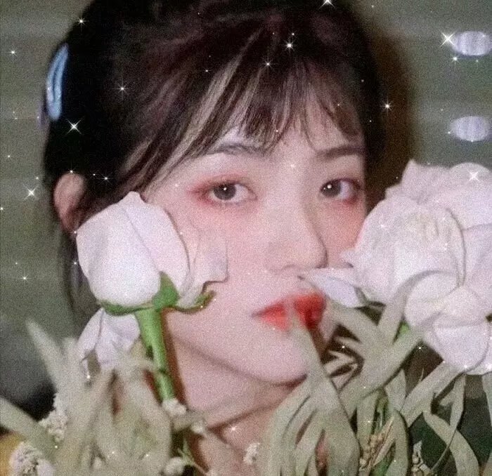赤毛